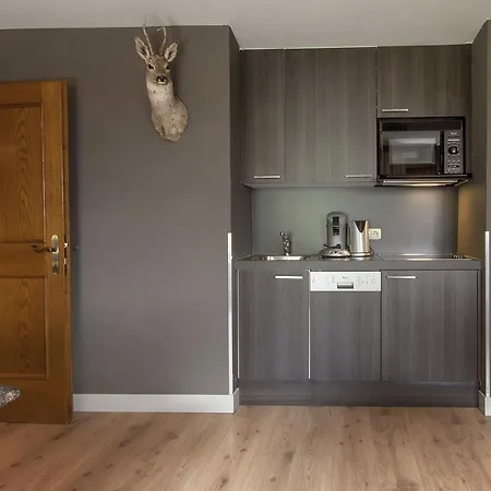 Apart-hotel Laijola 3*